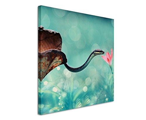 Leinwandbilder quadratisch 60x60cm Tierbilder - Kleine Schlange mit rosa Blume
