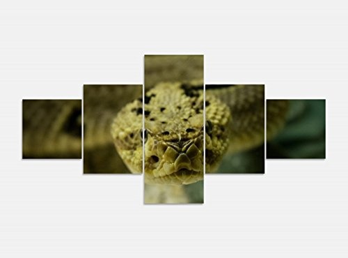Leinwandbild 5 tlg. 200cmx100cm Schlange Snake Reptil Tier Kopf Bilder Druck auf Leinwand Bild Kunstdruck mehrteilig Holz 9YA378, 5Tlg 200x100cm:5Tlg 200x100cm