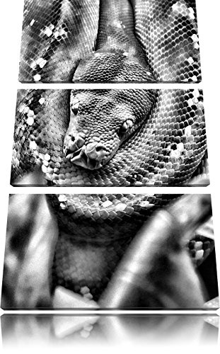 Pixxprint Monocrome, Grüne giftige Schlange 3-Teiler Leinwandbild 120x80 Bild auf Leinwand