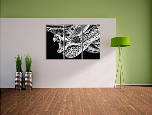 Pixxprint Monocrome, Giftige grüne Schlange 3-Teiler Leinwandbild 120x80 Bild auf Leinwand