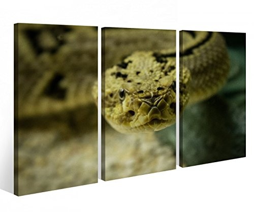 Leinwandbild 3 Tlg. Schlange Snake Reptil Tier Kopf Leinwand Bild Bilder auf Keilrahmen Holz - fertig gerahmt 9O928, 3 tlg BxH:120x80cm (3Stk 40x 80cm)