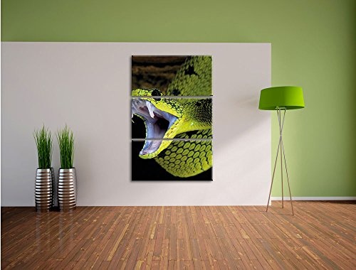 Giftige grüne Schlange 3-Teiler Leinwandbild 120x80 Bild auf Leinwand, XXL riesige Bilder fertig gerahmt mit Keilrahmen, Kunstdruck auf Wandbild mit Rahmen, gänstiger als Gemälde oder Ölbild, kein Poster oder Plakat