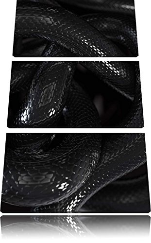 Dark Schwarze Schlangen 3-Teiler Leinwandbild 120x80 Bild...