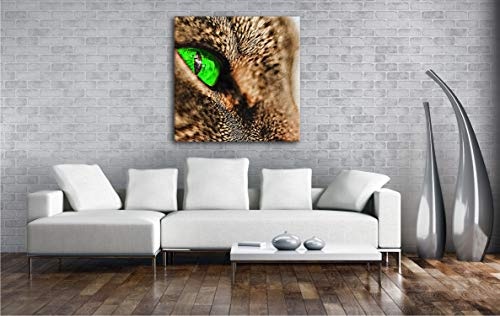 wundervolle Katze mit grünen Augen im Format: 70x70 Effekt: Zeichnung als Leinwandbild, Motiv auf Echtholzrahmen, Hochwertiger Digitaldruck mit Rahmen, Kein Poster oder Plakat