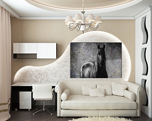 Julia-art Leinwandbilder - Schwarzes Pferd Bild 1 teilig - 70 mal 50 cm Leinwand auf Rahmen - sofort aufhängbar ! Wandbild XXL - Kunstdrucke QN.170-3