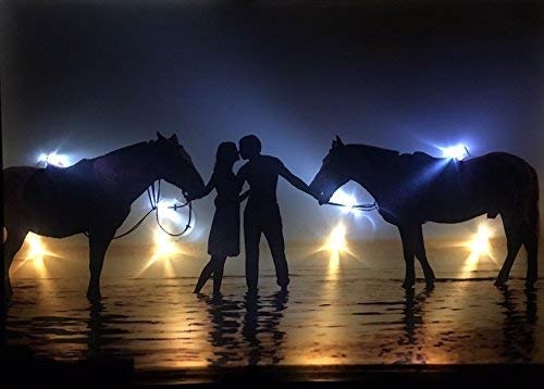 Samarkand-Lights LED-Bild mit Beleuchtung LED- Bilder Leinwandbild 65 x 45 cm Leuchtbild Liebe Kuss Pferde Wandbild