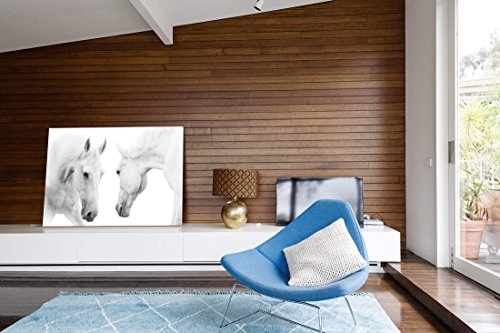 Paul Sinus Art Leinwandbilder | Bilder Leinwand 120x80cm Zwei Stolze weiße Pferde