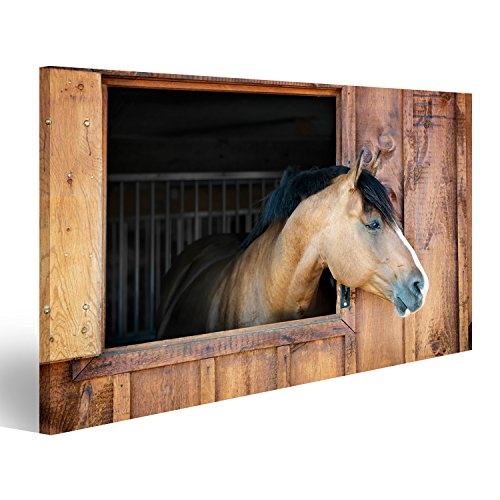 islandburner Bild Bilder auf Leinwand Neugieriges braunes Pferd schaut aus stabilem Fenster Wandbild Leinwandbild Poster DHI