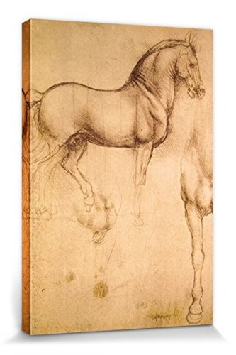 1art1 87395 Leonardo Da Vinci - Pferdestudie, 1493-1494 Poster Leinwandbild Auf Keilrahmen 120 x 80 cm