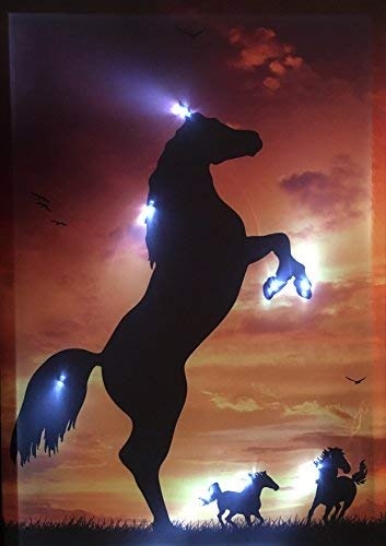 Samarkand-Lights LED-Bild mit Beleuchtung LED- Bilder Leinwandbild 65 x 45 cm Leuchtbild Pferde Wandbild
