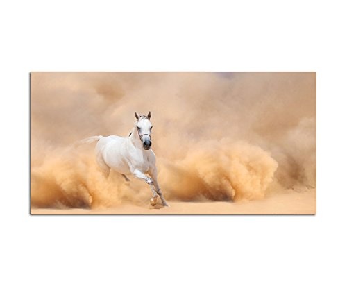 120x60cm - Fotodruck auf Leinwand und Rahmen Wüste Sandsturm Arabien Pferd - Leinwandbild auf Keilrahmen modern stilvoll - Bilder und Dekoration