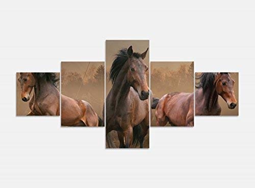 Leinwandbild 5 tlg. 200cmx100cm Pferde wild Herde Mustang braun Bilder Druck auf Leinwand Bild Kunstdruck mehrteilig Holz 9YA335, 5Tlg 200x100cm:5Tlg 200x100cm