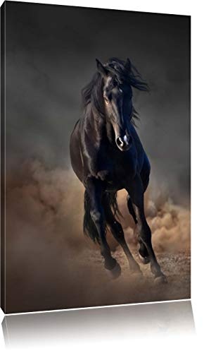 Elegantes schwarzes Pferd Schwarz/Weiß, Format:...