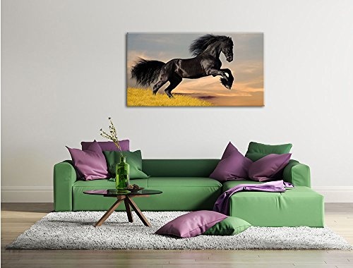 Schwarzes Pferd Format 120x80 cm Bild auf Leinwand, XXL riesige Bilder fertig gerahmt mit Keilrahmen, Kunstdruck auf Wandbild mit Rahmen