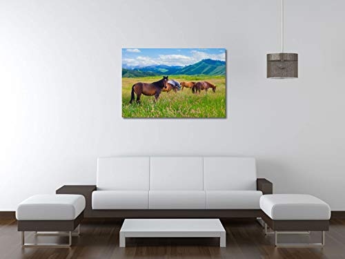 Ralko Vadim - Herde von Pferden auf Einer Sommerwiese - 60x40 cm - Leinwandbild auf Keilrahmen - Wand-Bild - Kunst, Gemälde, Foto, Bild auf Leinwand - Tiere