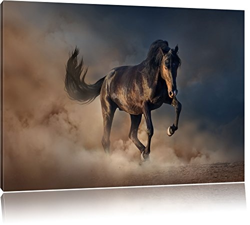 Schwarzes Pferd Format: 100x70 cm auf Leinwand, XXL riesige Bilder fertig gerahmt mit Keilrahmen, Kunstdruck auf Wandbild mit Rahmen, günstiger als Gemälde oder Ölbild, kein Poster oder Plakat