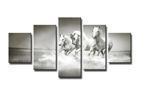 Visario 5549 Bilder und Kunstdrucke auf Leinwand Bild 160 x 80 cm, Pferde fünfteilig