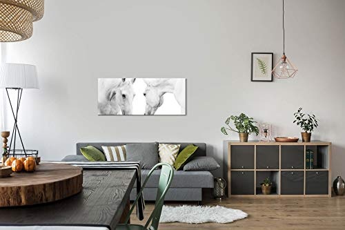 Paul Sinus Art GmbH Weiße Pferde 120x 50cm Panorama Leinwand Bild XXL Format Wandbilder Wohnzimmer Wohnung Deko Kunstdrucke