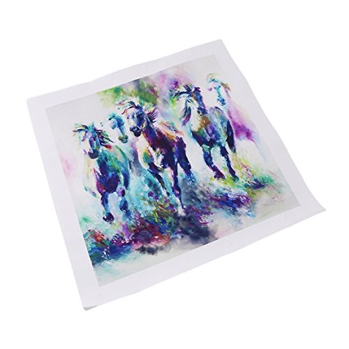 ODN Rahmenlose Bild digitales Malerei Galoppierendes Pferd Ölgemälde (50 x 50 cm)