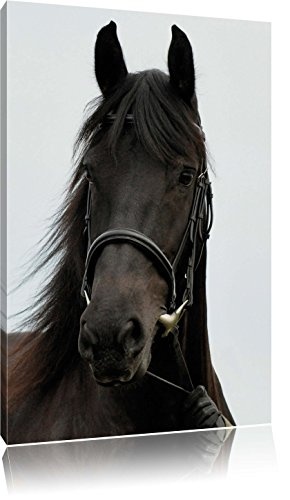 braunes Pferd, Format: 40x60 auf hochkantiges Leinwand,...