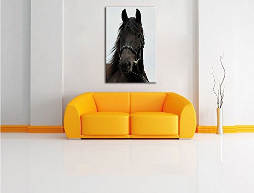 braunes Pferd, Format: 40x60 auf hochkantiges Leinwand,...
