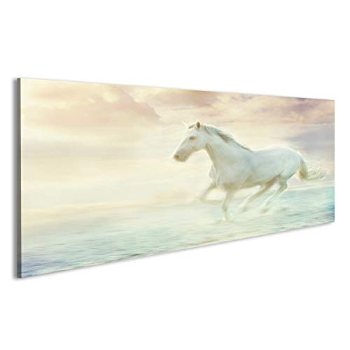 islandburner Bild Bilder auf Leinwand weißes laufendes Pferd, Himmelphantasiehintergrund Wandbild, Poster, Leinwandbild GNF
