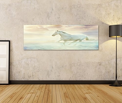 islandburner Bild Bilder auf Leinwand weißes laufendes Pferd, Himmelphantasiehintergrund Wandbild, Poster, Leinwandbild GNF