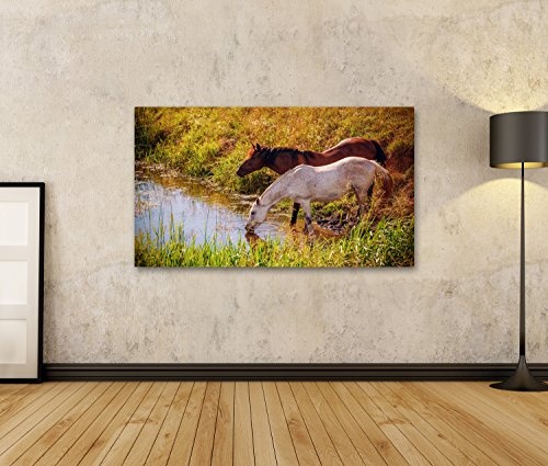 islandburner Bild Bilder auf Leinwand Brown und weiße Pferde, die Wasser vom Nebenfluss in der Sonnenuntergangzeit Trinken Vintage-Effekt Wandbild, Poster, Leinwandbild GZU