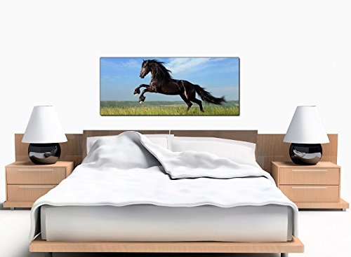 Breit Leinwand Art der Pferde für Ihr Mädchen Schlafzimmer – Leinwandbild Animal Panorama Bilder – 1129 – Wallfillers®