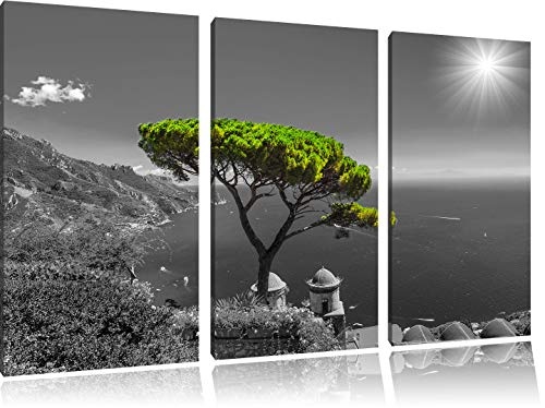 Mediteraner Baum am Mittelmeer schwarz/weiß 3-Teiler Leinwandbild 120x80 Bild auf Leinwand, XXL riesige Bilder fertig gerahmt mit Keilrahmen, Kunstdruck auf Wandbild mit Rahmen, günstiger als Gemälde oder Ölbild, kein Poster oder Plakat