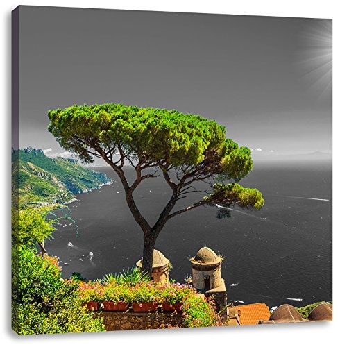 Pixxprint Mediteraner Baum am Mittelmeer schwarz/weiß, Format: 40x40 als Leinwandbild