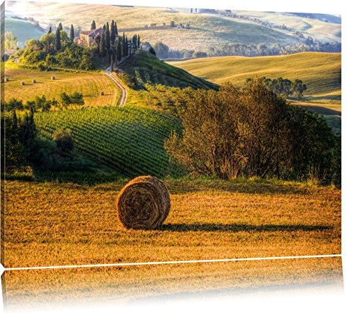 Italienische Toskana Landschaft Format: 100x70 auf...
