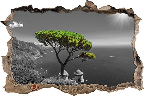 Pixxprint 3D_WD_4945_92x62 Mediteraner Baum am mittelmeer Wanddurchbruch 3D Wandtattoo, Vinyl, schwarz / weiß, 92 x 62 x 0,02 cm