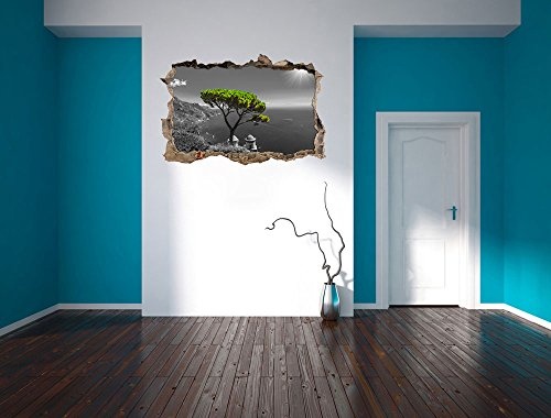 Pixxprint 3D_WD_4945_92x62 Mediteraner Baum am mittelmeer Wanddurchbruch 3D Wandtattoo, Vinyl, schwarz / weiß, 92 x 62 x 0,02 cm