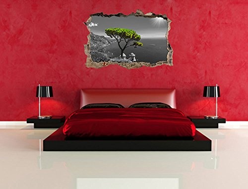 Pixxprint 3D_WD_4945_92x62 Mediteraner Baum am mittelmeer Wanddurchbruch 3D Wandtattoo, Vinyl, schwarz / weiß, 92 x 62 x 0,02 cm