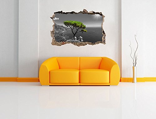 Pixxprint 3D_WD_4945_92x62 Mediteraner Baum am mittelmeer Wanddurchbruch 3D Wandtattoo, Vinyl, schwarz / weiß, 92 x 62 x 0,02 cm