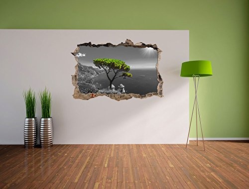 Pixxprint 3D_WD_4945_92x62 Mediteraner Baum am mittelmeer Wanddurchbruch 3D Wandtattoo, Vinyl, schwarz / weiß, 92 x 62 x 0,02 cm