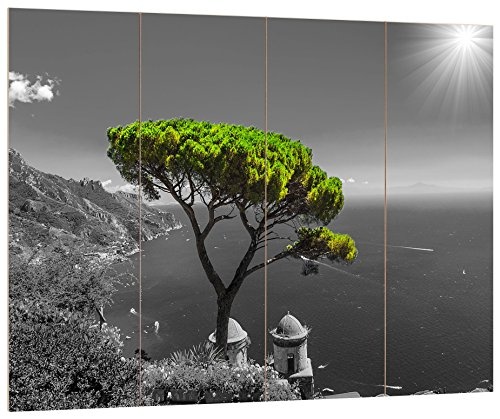 Pixxprint Mediteraner Baum am Mittelmeer schwarz/weiß, MDF Bretterlook Format: 80x60cm, Wanddekoration Holzbild, Holz, bunt, 80 x 60 x 2 cm