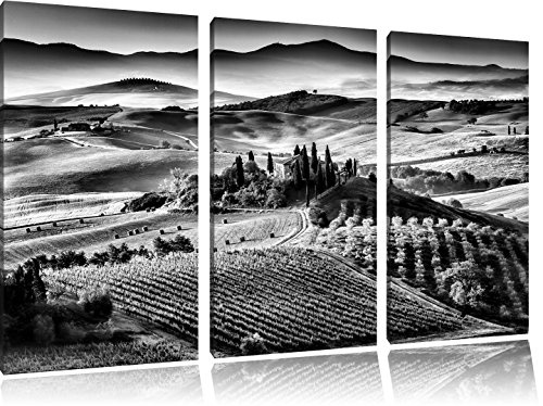Pixxprint Monocrome, Wunderschöne Toskana Landschaft 3-Teiler Leinwandbild 120x80 Bild auf Leinwand