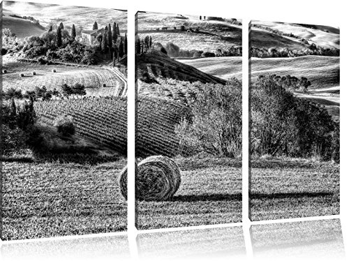 Pixxprint Monocrome, Italienische Toskana Landschaft 3-Teiler Leinwandbild 120x80 Bild auf Leinwand