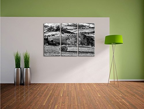 Pixxprint Monocrome, Italienische Toskana Landschaft 3-Teiler Leinwandbild 120x80 Bild auf Leinwand