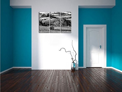 Pixxprint Monocrome, Italienische Toskana Landschaft 3-Teiler Leinwandbild 120x80 Bild auf Leinwand