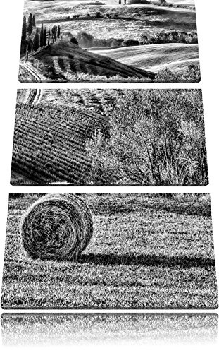 Pixxprint Monocrome, Italienische Toskana Landschaft 3-Teiler Leinwandbild 120x80 Bild auf Leinwand