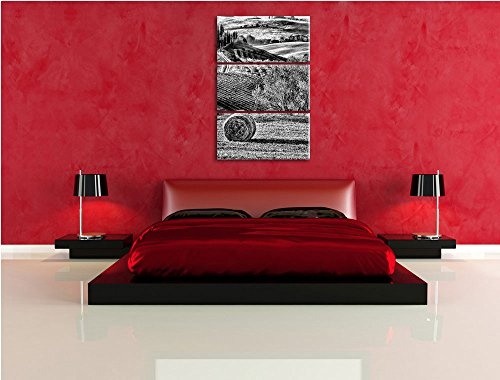 Pixxprint Monocrome, Italienische Toskana Landschaft 3-Teiler Leinwandbild 120x80 Bild auf Leinwand