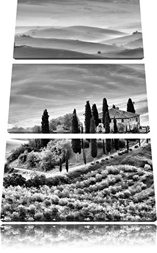 Monocrome, Wunderschöne Toskana Landschaft 3-Teiler...