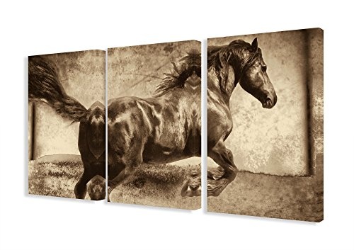 Stupell Home Decor Collection The Leinwandbild, Motiv Galoppierendes Pferd, 3-teilig