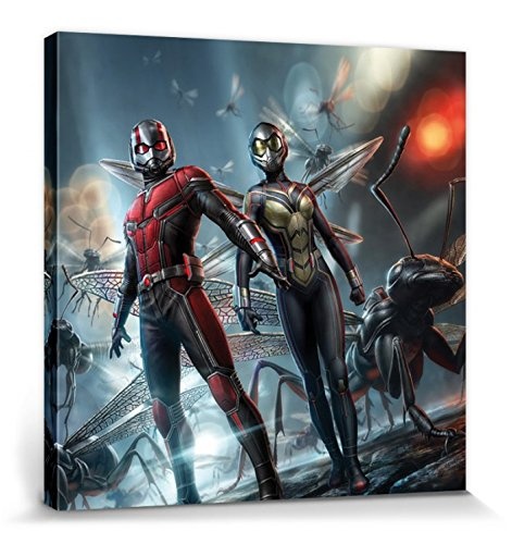 1art1 115488 Ant-Man - and The Wasp, Paul Rudd, Evangeline Lilly, Mini Helden Poster Leinwandbild Auf Keilrahmen 40 x 40 cm
