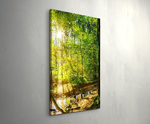 Paul Sinus Art Leinwandbilder | Bilder Leinwand 90x60cm Wald im Sonnenschein