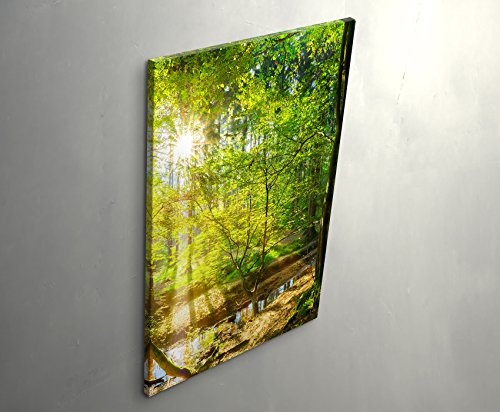 Paul Sinus Art Leinwandbilder | Bilder Leinwand 90x60cm Wald im Sonnenschein
