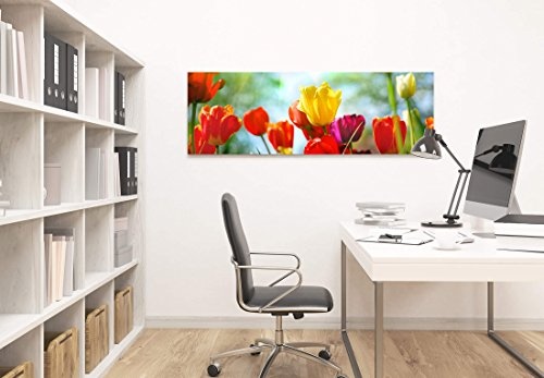Paul Sinus Art Leinwandbilder | Bilder Leinwand 120x40cm Bunte Tulpen im Sonnenschein